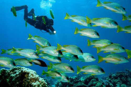 коралловые брюки в вашем гардеробе: с чем надеть и какую обувь выбрать к ним