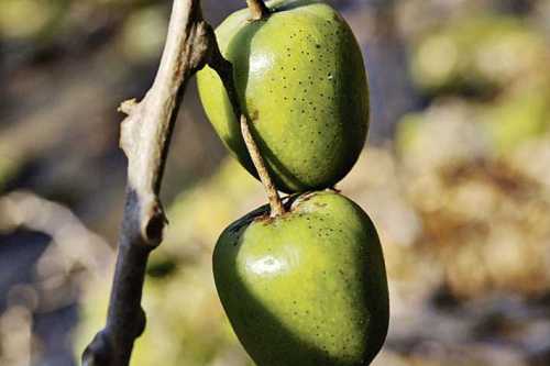 правила въезда в оаэ для россиян в 2019 году