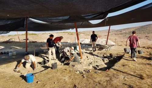 ученые выяснили, что бокал красного вина приравнивается к 1 часу занятий спортом