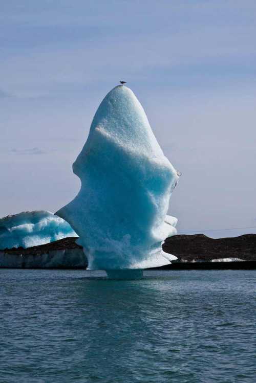 17 лучших упражнений для снижения веса