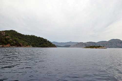 утиный рийет