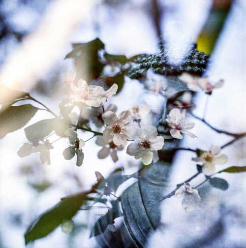 зуд на ногах: причины появления, первая помощь и лечение