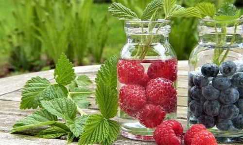 польза ананаса: натуральное мочегонное и очищающее средство