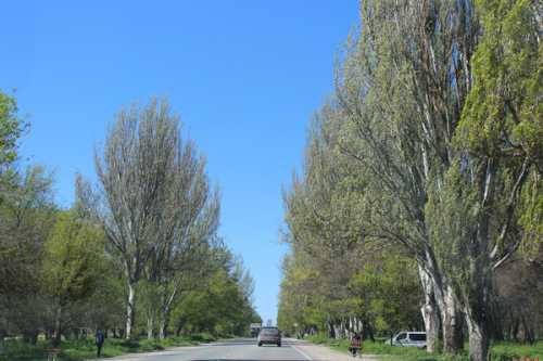 отдых с детьми самостоятельногород йер hyeres, франция – пляжи, прогулки по садам и островам