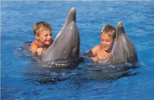 купание в проруби на крещение