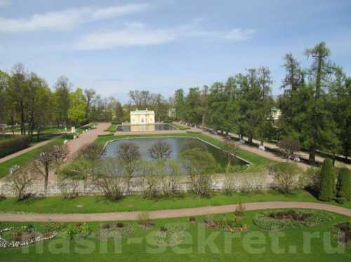 зеркальные нейроны и диета общения 