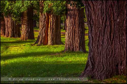 новый год 2019 в украине: где отметить и куда поехать